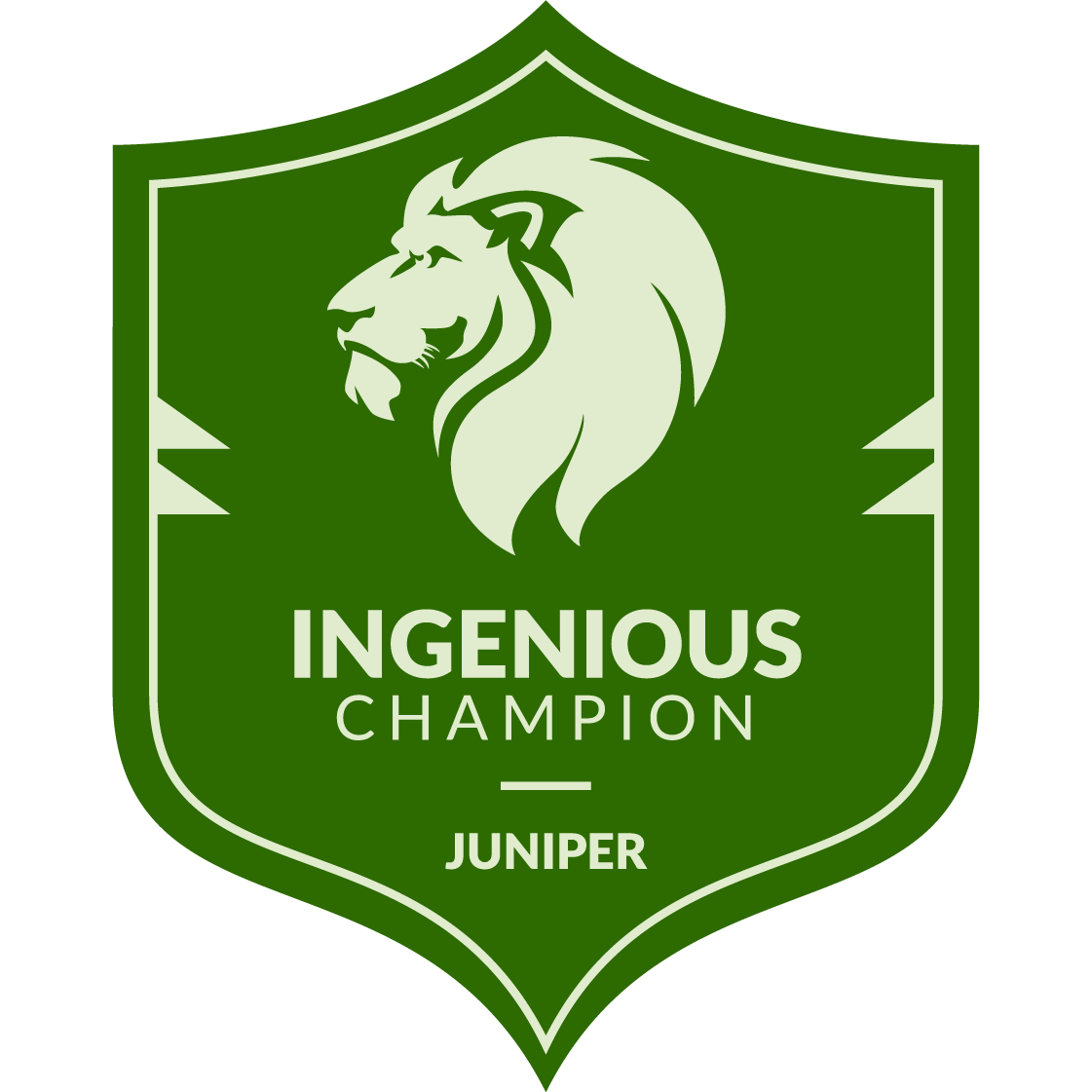 Juniper Networks - Ingenious Champion